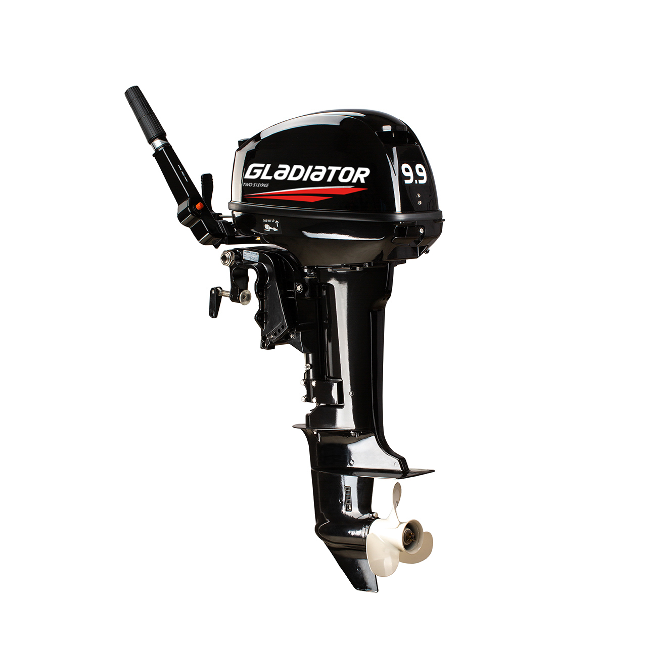 ЛОДОЧНЫЙ МОТОР GLADIATOR G9.9FHS в Воронеже