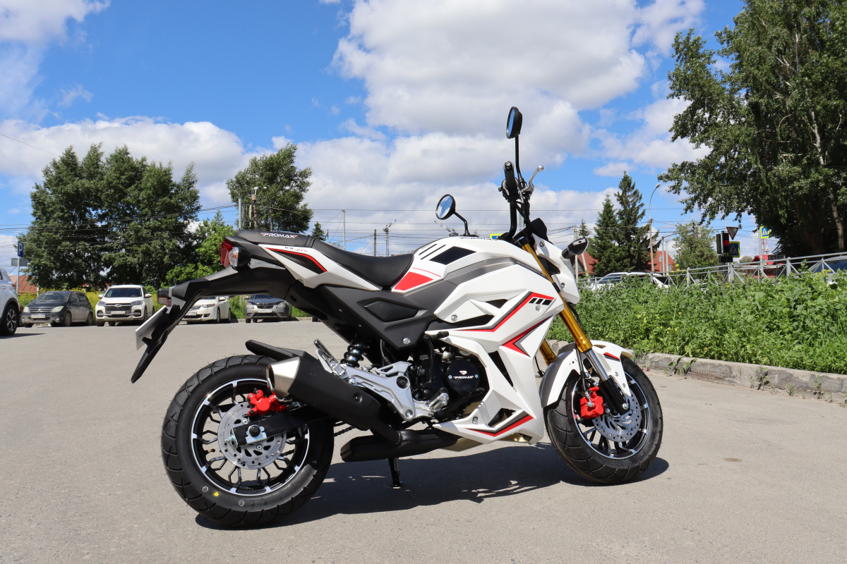 Мотоцикл PROMAX STRYKER 200(49) 2.0 в Воронеже