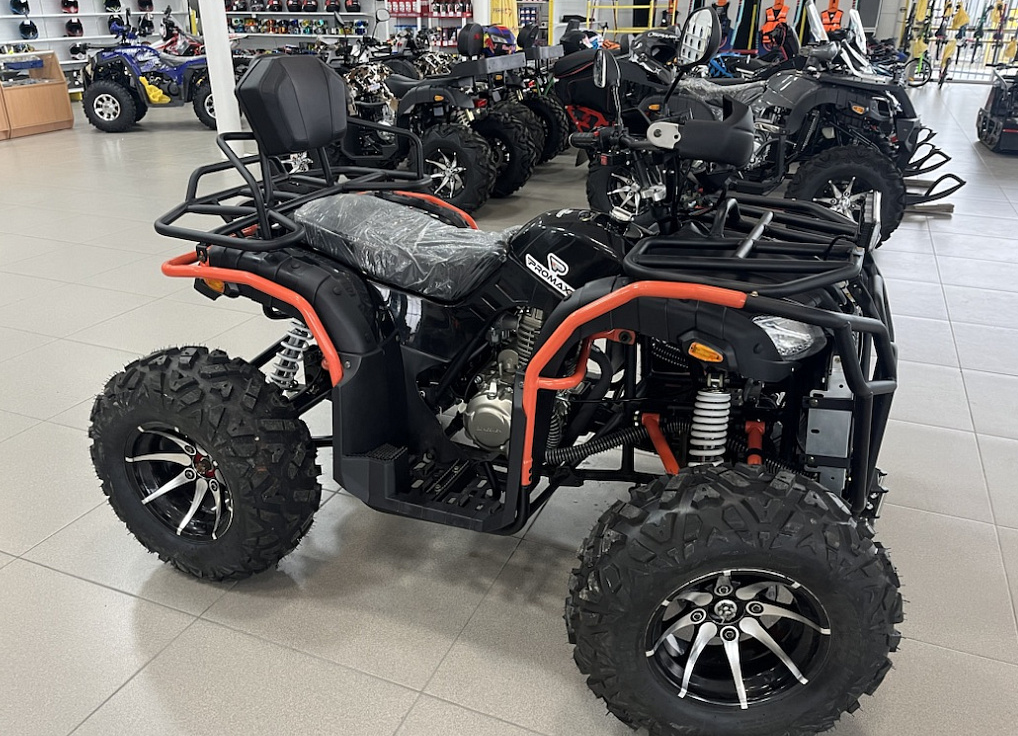 Квадроцикл PROMAX 300 4X4 ALL ROAD в Воронеже