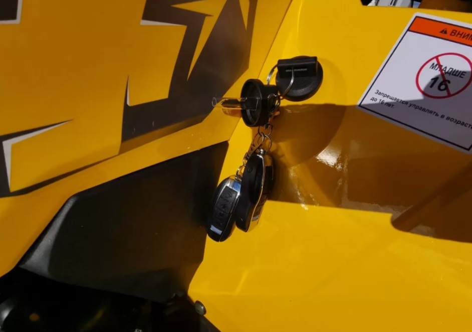 Квадроцикл MOTOLAND (МОТОЛЕНД) VOX200 WILD TRACK X PRO (баланс. вал) в Воронеже