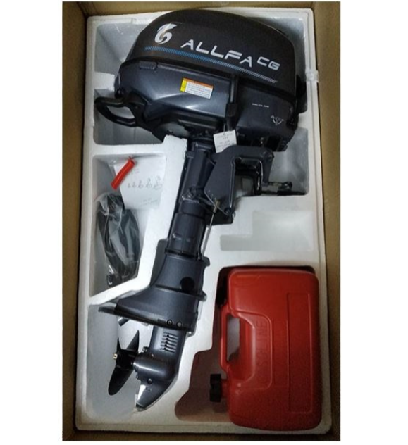 Лодочный мотор ALLFA CG F6 в Воронеже