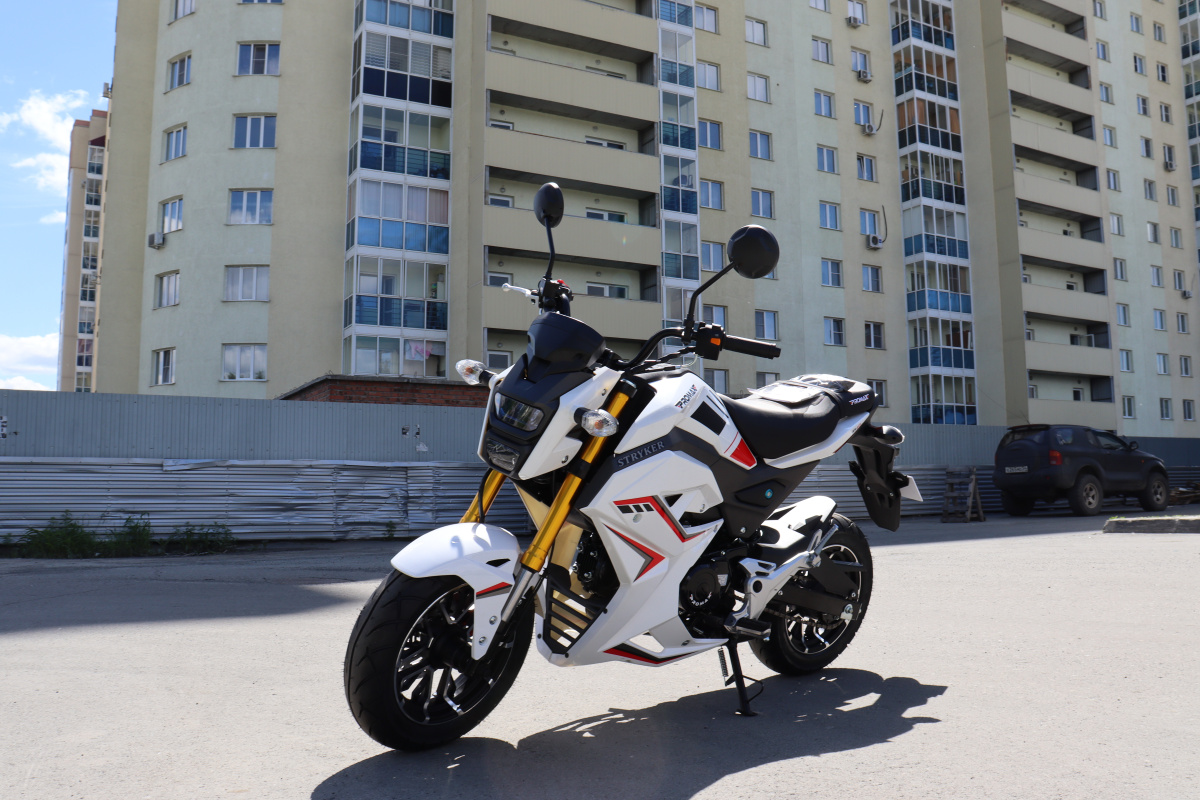 Мотоцикл PROMAX STRYKER 200(49) 2.0 в Воронеже