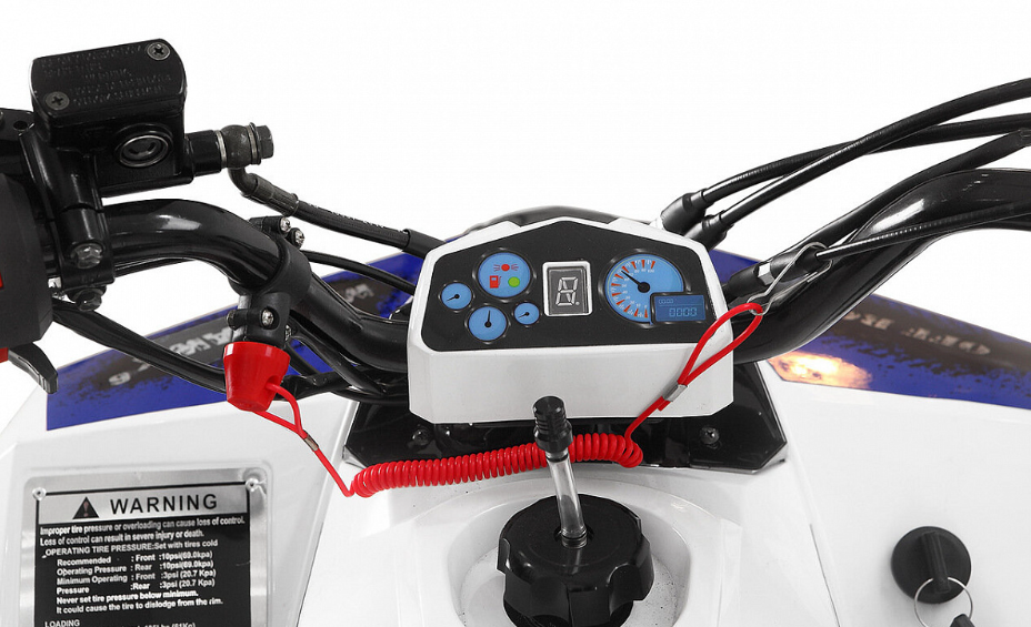 Квадроцикл Yacota Raposa 110 в Воронеже