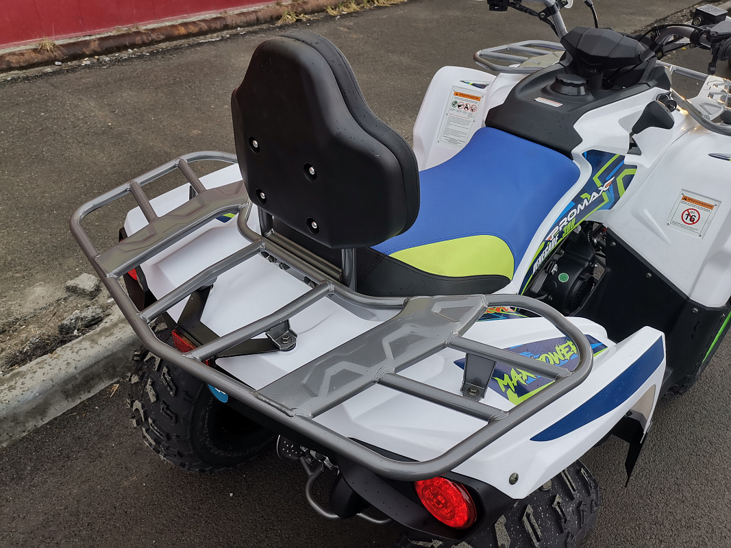 Квадроцикл PROMAX RENEGADE 280 LUX (2025) в Воронеже