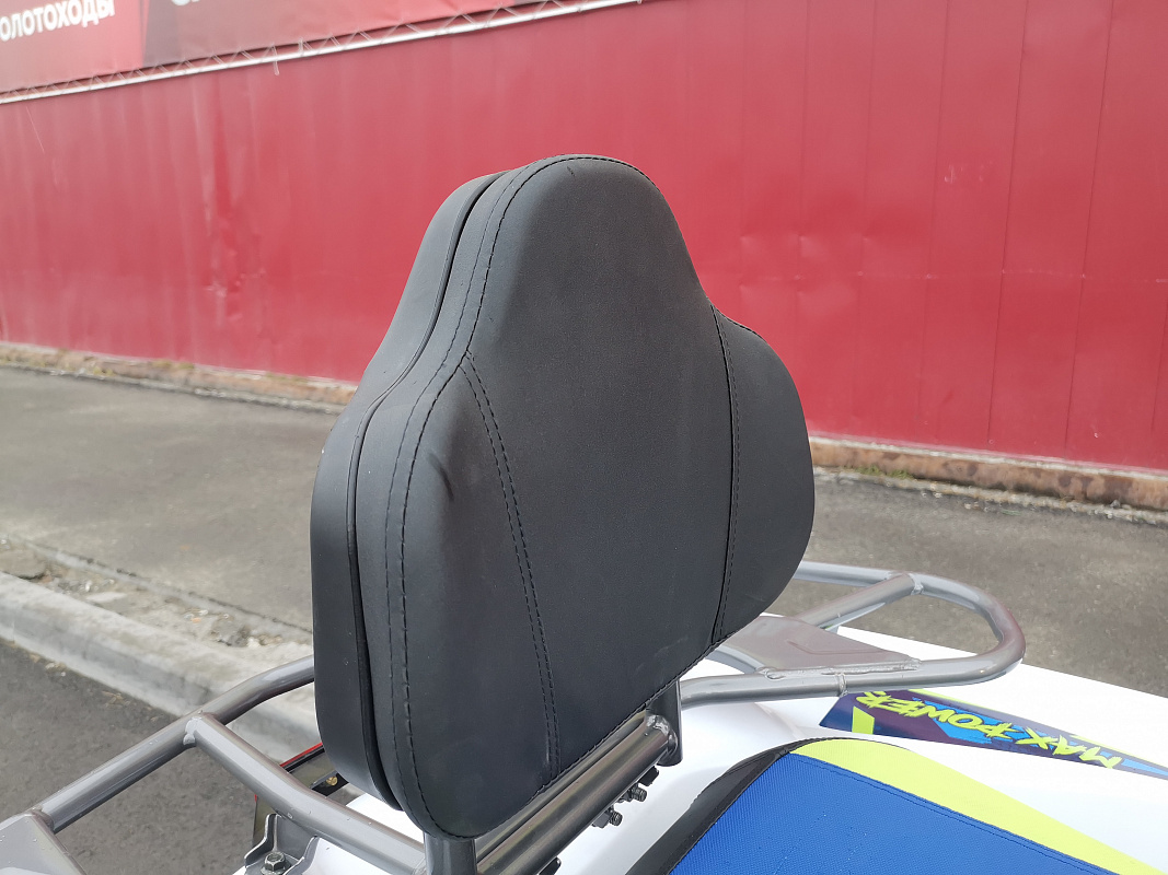 Квадроцикл PROMAX RENEGADE 280 LUX (2025) в Воронеже