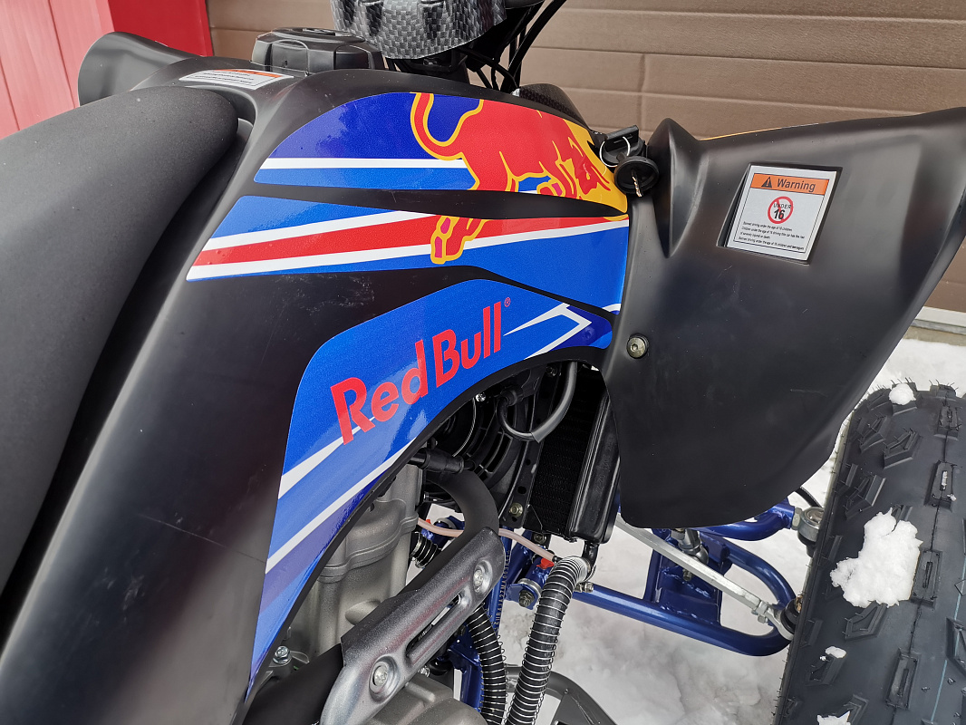 Квадроцикл PROMAX RAPTOR 300 NEW RedBull в Воронеже