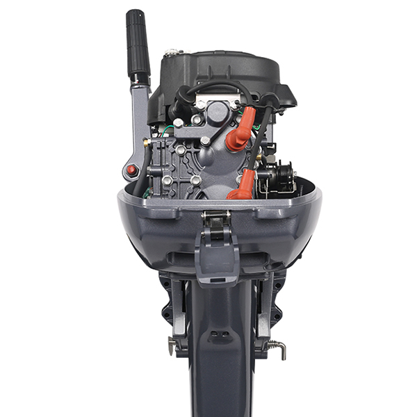 ЛОДОЧНЫЙ МОТОР ALLFA CG Т9,9 Limit в Воронеже