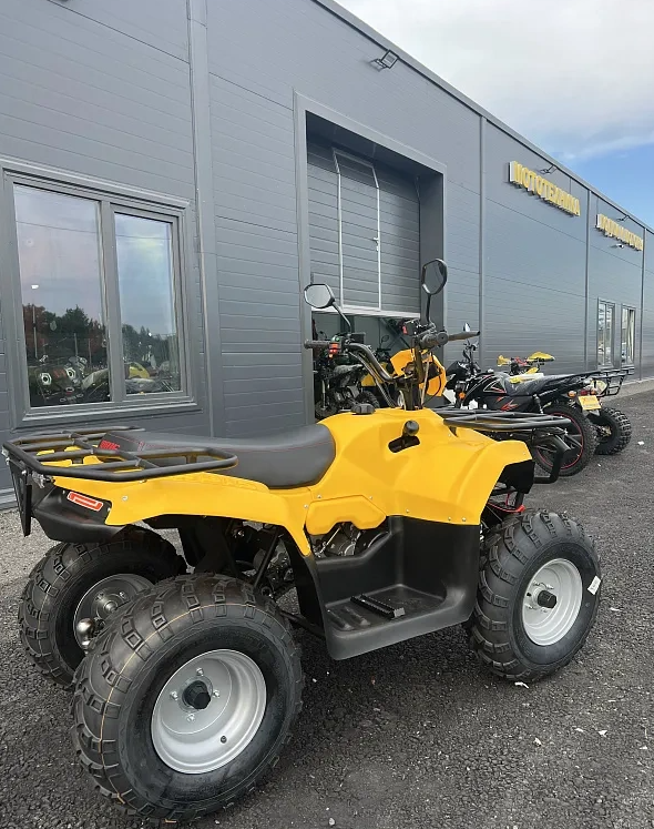 КВАДРОЦИКЛ IRBIS ATV 250  в Воронеже