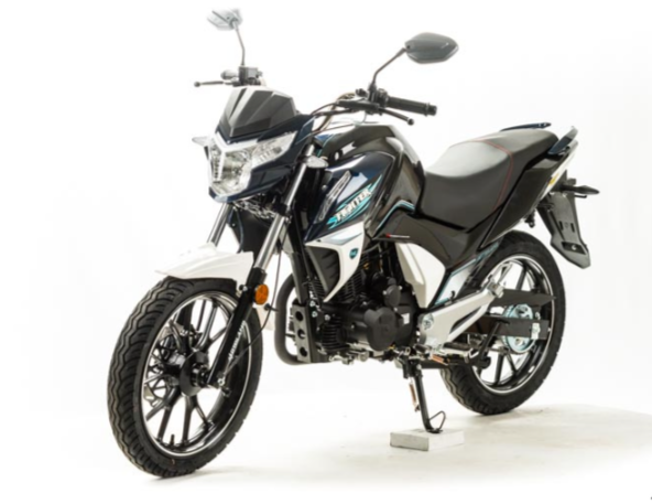 Мотоцикл MOTOLAND (МОТОЛЕНД) FIGHTER 250 в Воронеже