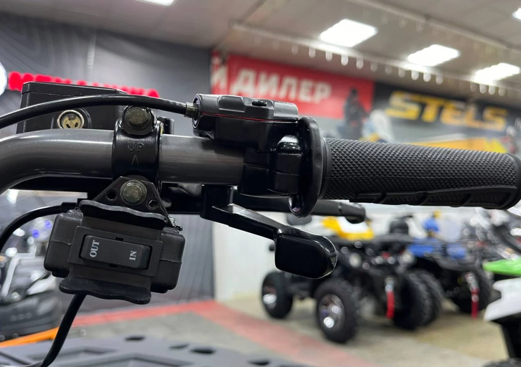 Квадроцикл PROMAX RENEGADE 300 LONG WINCH PRO (2025) в Воронеже