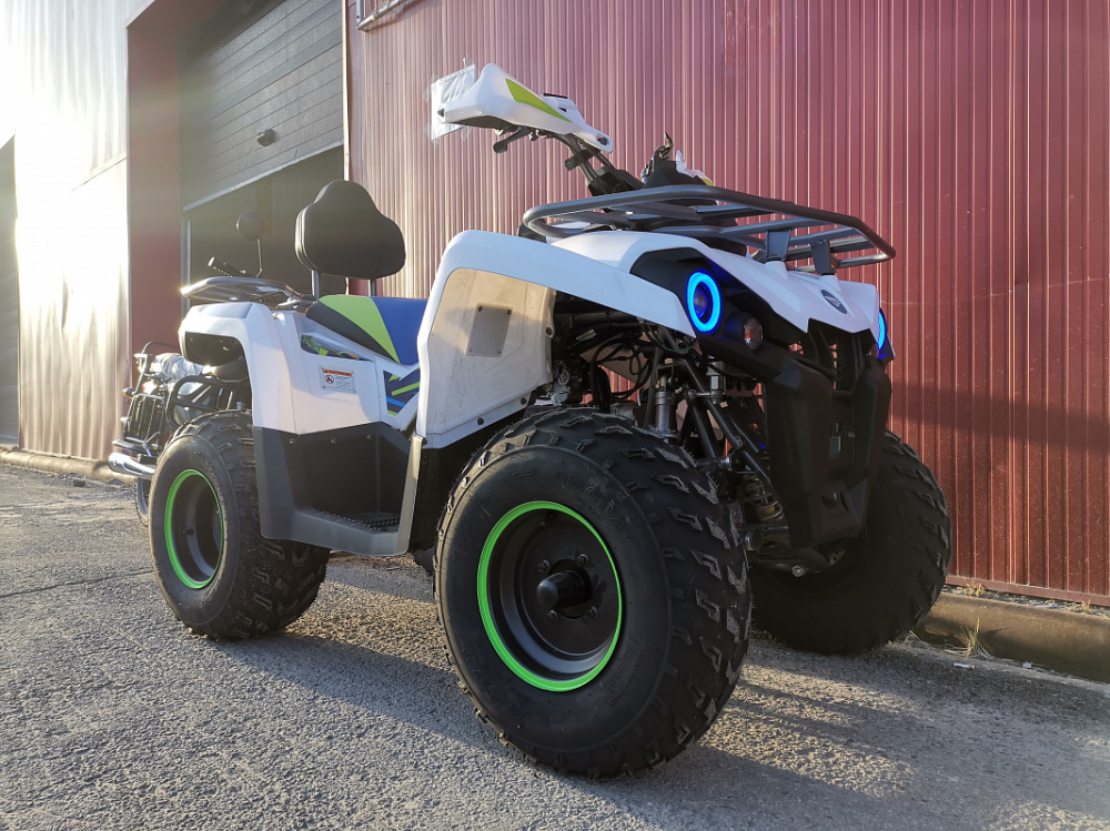 Квадроцикл PROMAX RENEGADE 280 LUX (2025) в Воронеже