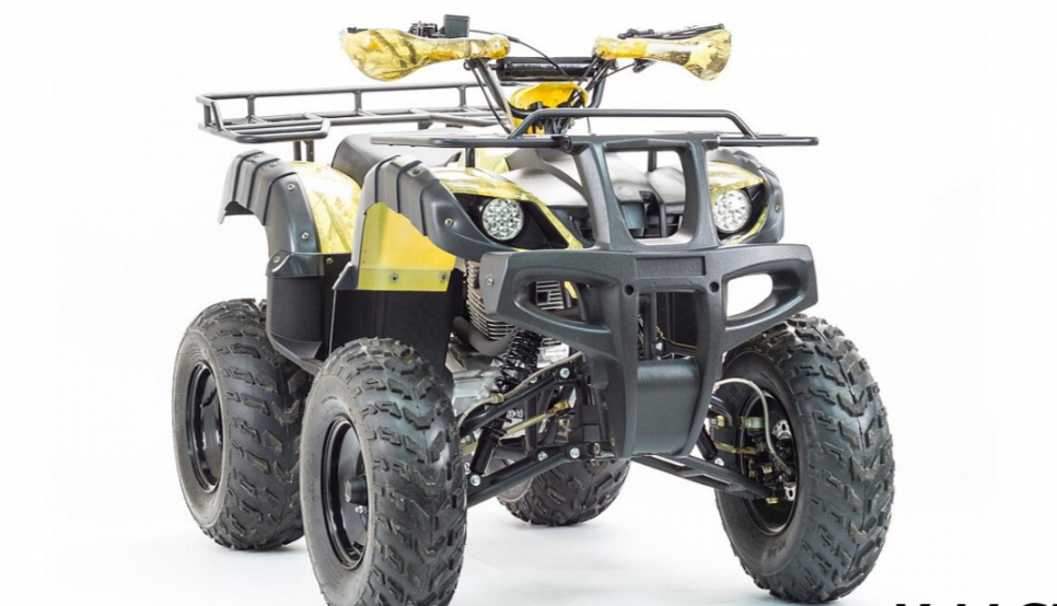 Квадроцикл MOTOLAND (МОТОЛЕНД) 250 ADVENTURE в Воронеже