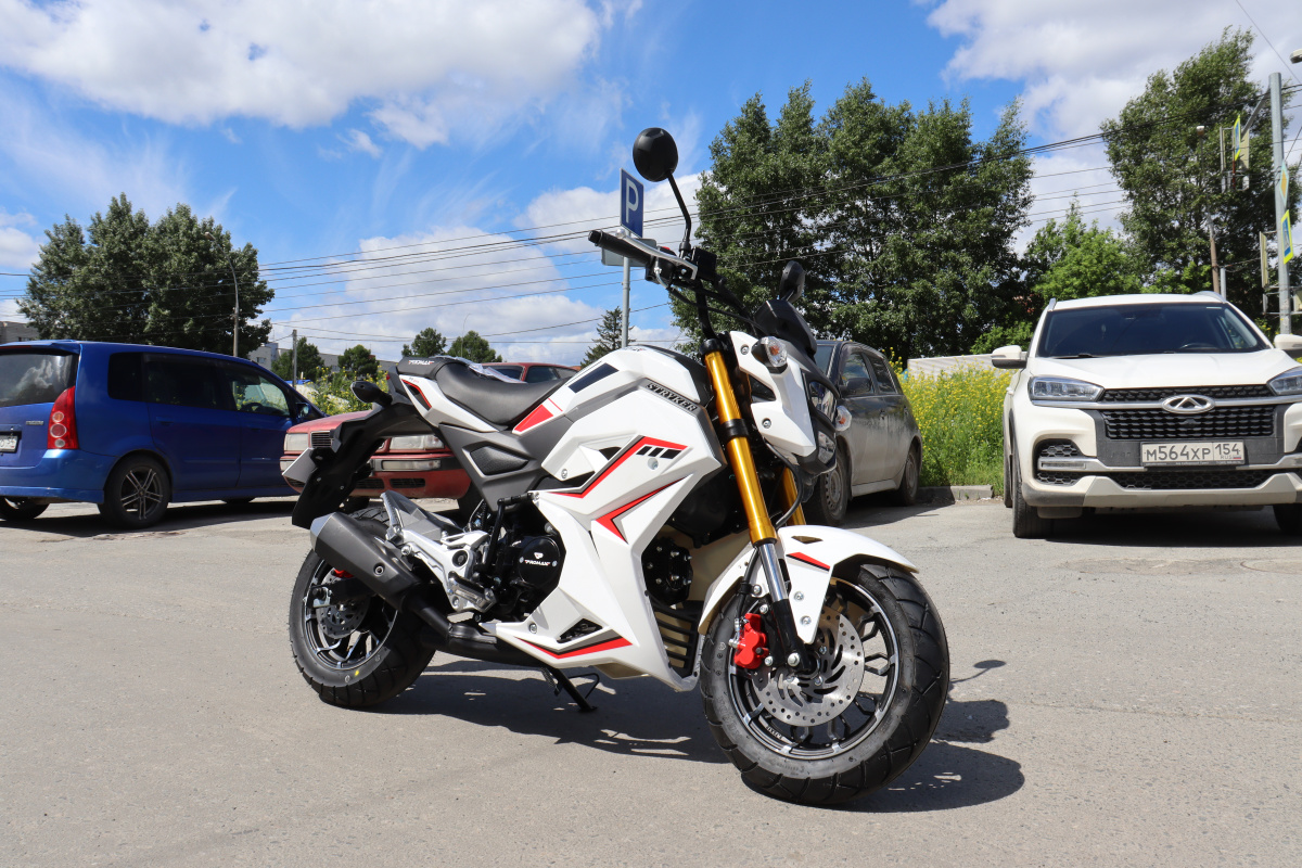 Мотоцикл PROMAX STRYKER 200(49) 2.0 в Воронеже