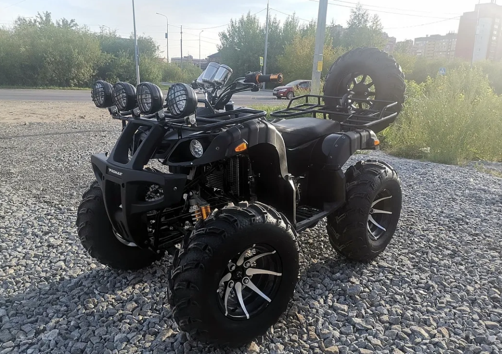 Квадроцикл PROMAX LEO 300 Max (кардан) в Воронеже
