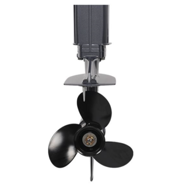 Лодочный мотор ALLFA CG Т40FWT S в Воронеже