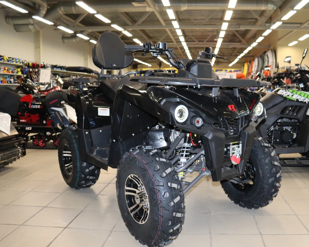 Квадроцикл PROMAX RENEGADE 300 LONG WINCH PRO (2025) в Воронеже