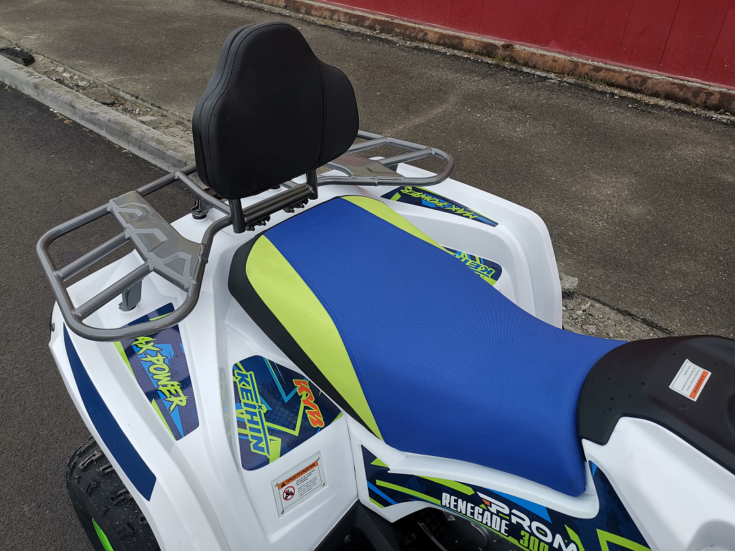 Квадроцикл PROMAX RENEGADE 280 LUX (2025) в Воронеже