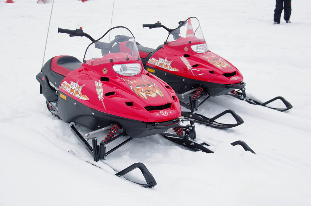 Снегоход Русская механика РМ ТАЙГА РЫСЬ в Воронеже