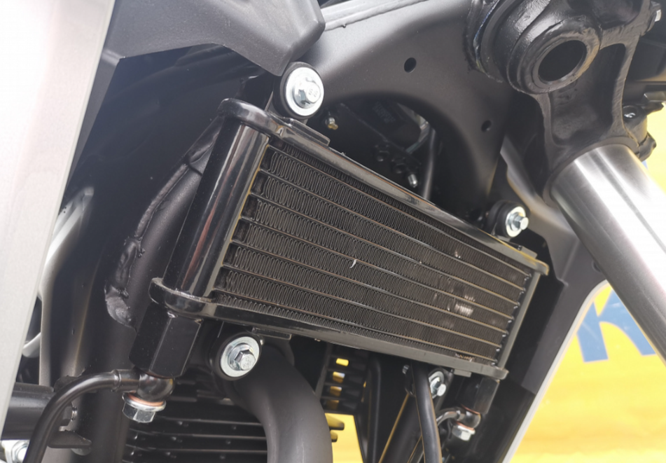 Мотоцикл MOTOLAND (МОТОЛЕНД) 250 CB250 (172FMM-5/PR250) (2022 г.) в Воронеже