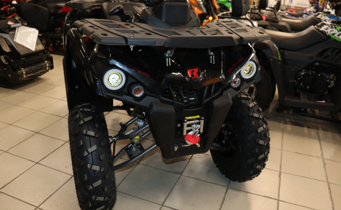Квадроцикл PROMAX RENEGADE 300 LONG WINCH PRO (2025) в Воронеже