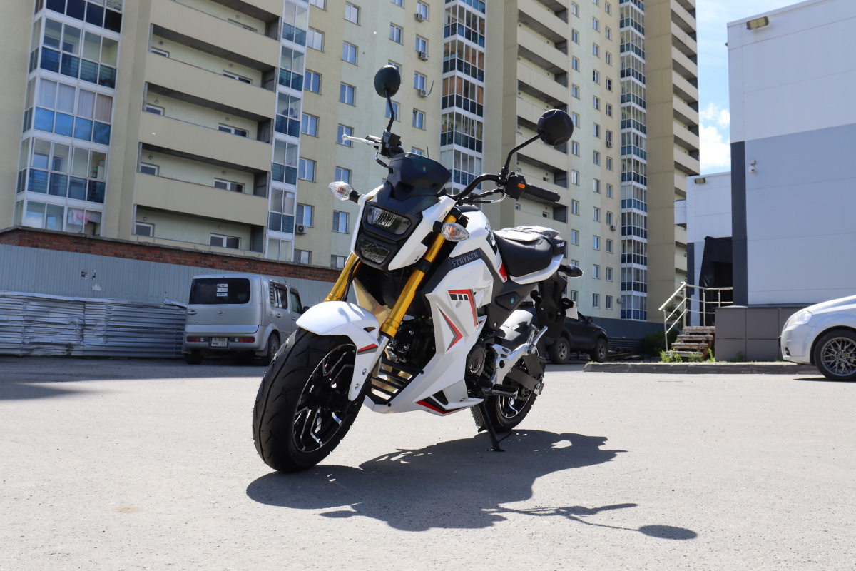 Мотоцикл PROMAX STRYKER 200(49) 2.0 в Воронеже