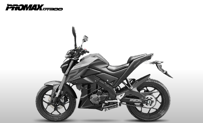 Мотоцикл PROMAX MT300 в Воронеже