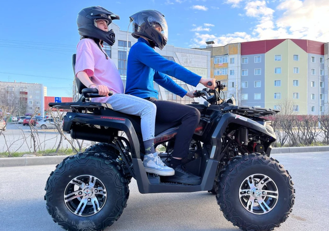 Квадроцикл PROMAX RENEGADE 300 LONG WINCH PRO (2025) в Воронеже