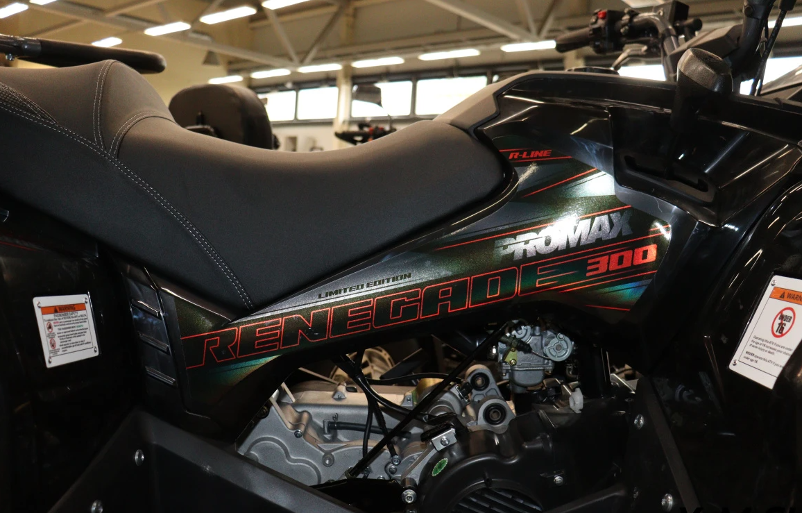 Квадроцикл PROMAX RENEGADE 300 LONG WINCH PRO (2025) в Воронеже