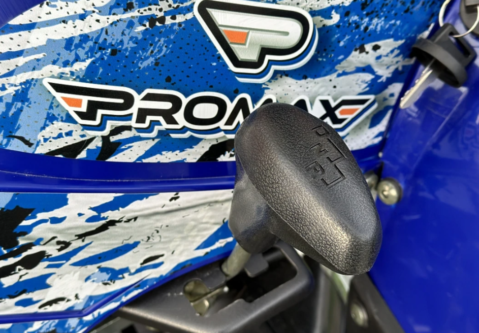  Квадроцикл PROMAX ATV 250 MAX (2025) в Воронеже