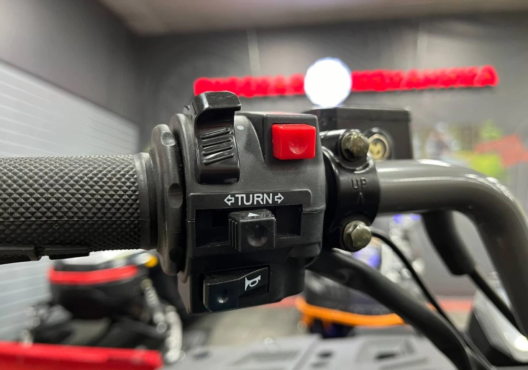 Квадроцикл PROMAX RENEGADE 300 LONG WINCH PRO (2025) в Воронеже