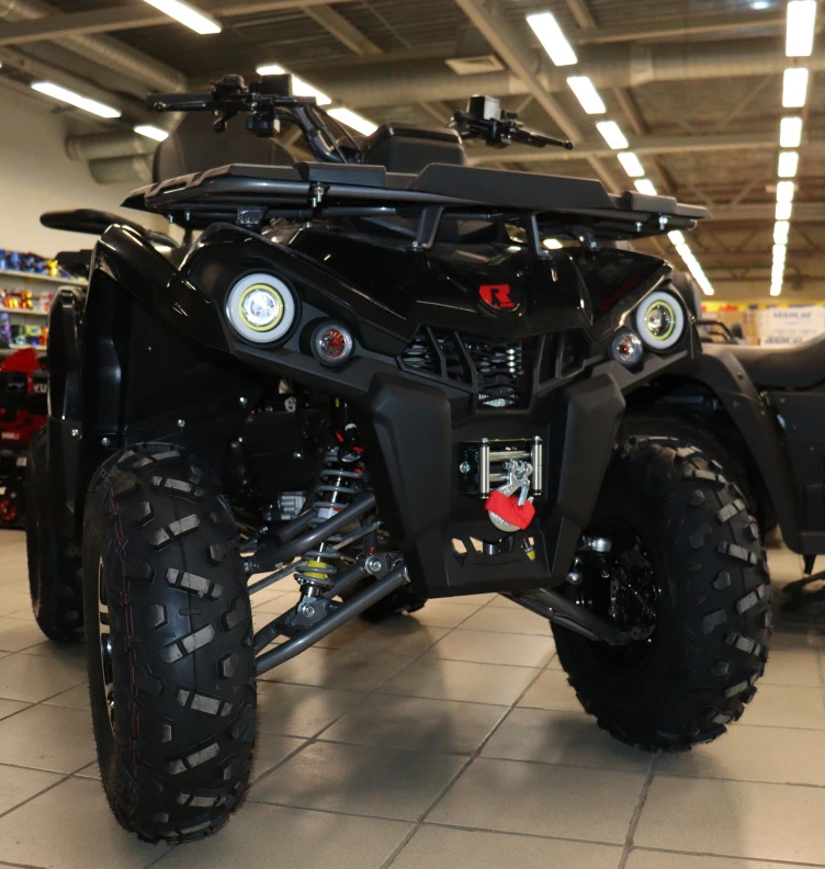 Квадроцикл PROMAX RENEGADE 300 LONG WINCH PRO (2025) в Воронеже