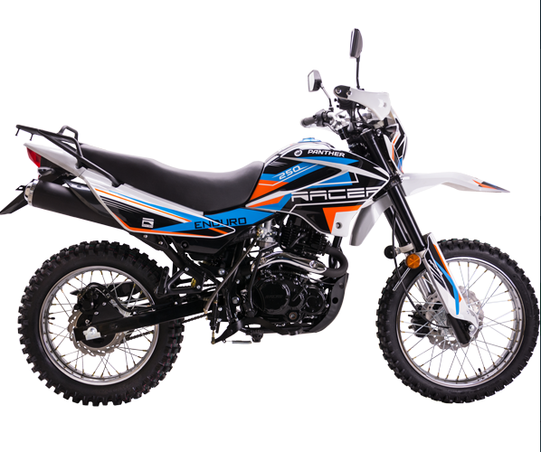 Мотоцикл Racer RC250GY-C2 Panther в Воронеже