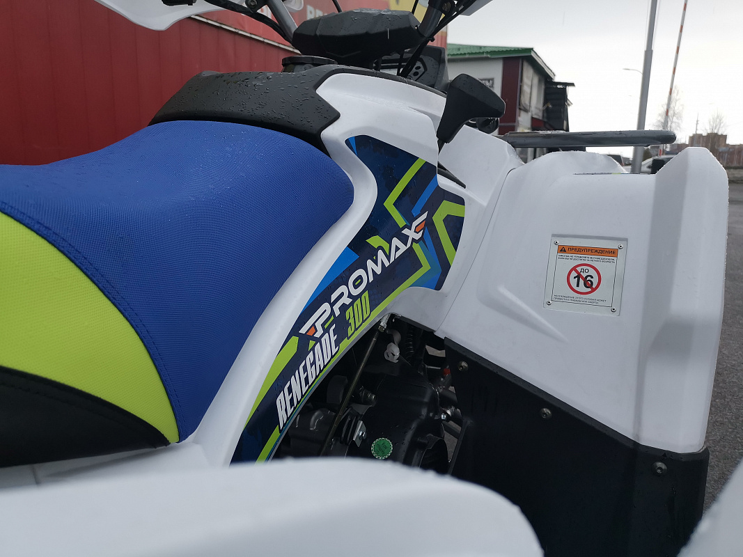 Квадроцикл PROMAX RENEGADE 280 LUX (2025) в Воронеже