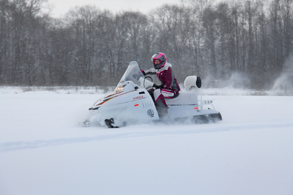 СНЕГОХОД РМ ТАЙГА ПАТРУЛЬ 551 SWT в Воронеже