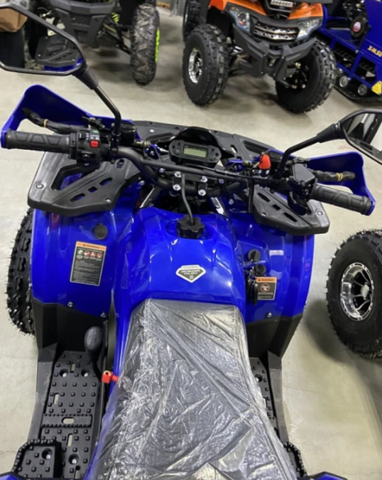 Квадроцикл PROMAX WILD 2.0 190 PRO (2025) в Воронеже