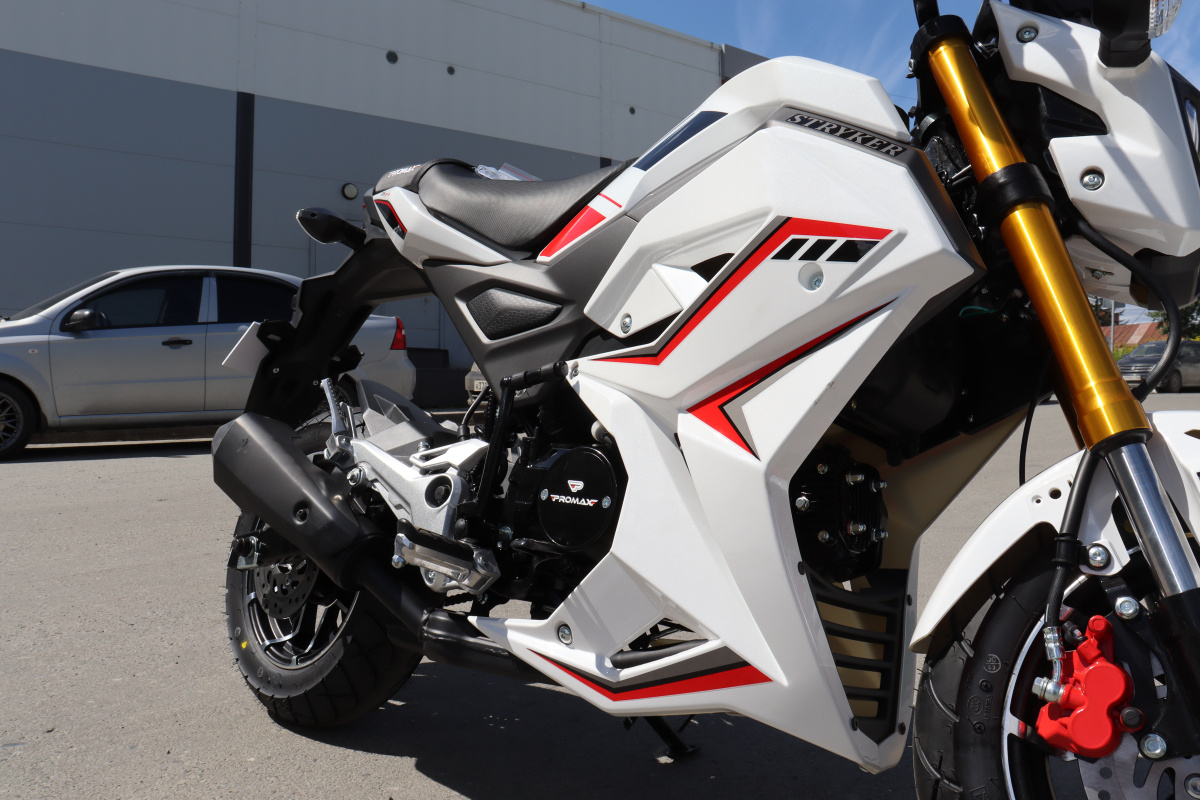 Мотоцикл PROMAX STRYKER 200(49) 2.0 в Воронеже