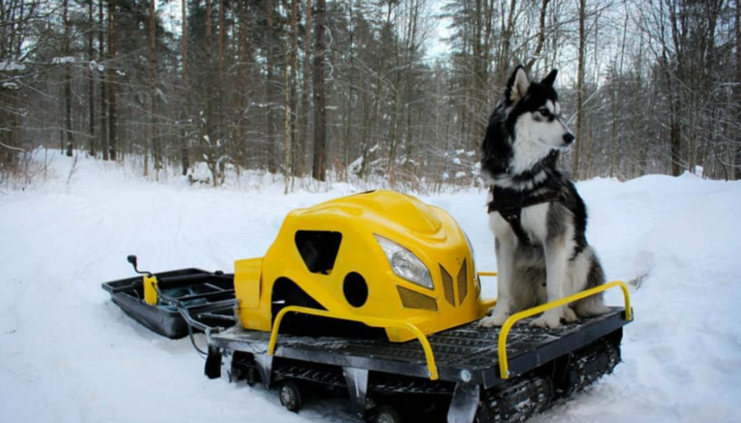 Мотобуксировщик LEBEDEV MOTORS ВОЛКОДАВ POWER V13 в Воронеже