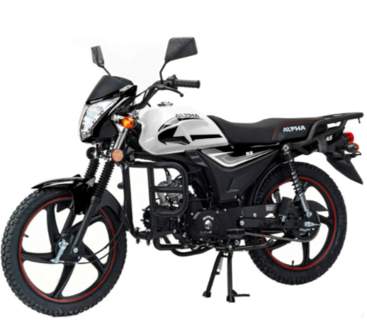 Мопед MOTOLAND (МОТОЛЕНД) Альфа RS 11 (LM48-B) в Воронеже