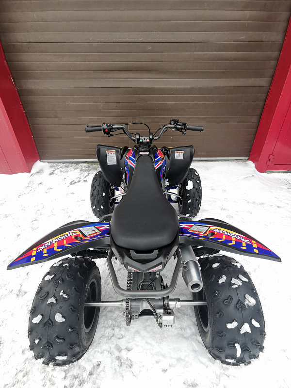 Квадроцикл PROMAX RAPTOR 300 NEW RedBull в Воронеже