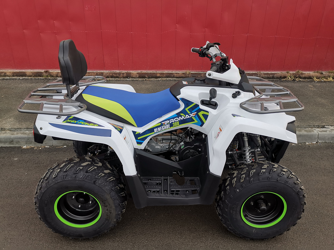 Квадроцикл PROMAX RENEGADE 280 LUX (2025) в Воронеже
