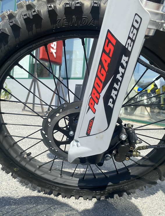 Мотоцикл Progasi PALMA 300 NEW (CB300F) в Воронеже