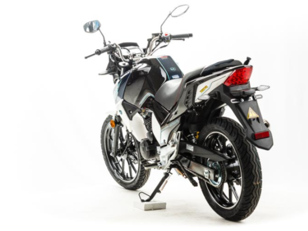 Мотоцикл MOTOLAND (МОТОЛЕНД) FIGHTER 250 в Воронеже