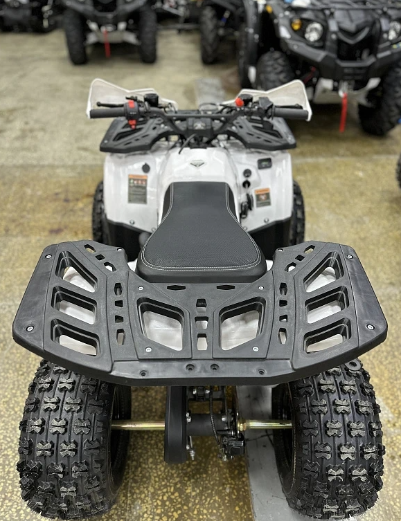 Квадроцикл PROMAX WILD 2.0 190 в Воронеже