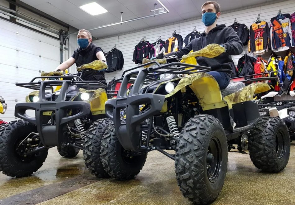 Квадроцикл PROMAX ATV 250 (2025) в Воронеже