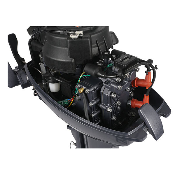 ЛОДОЧНЫЙ МОТОР ALLFA CG Т9,9 Limit в Воронеже