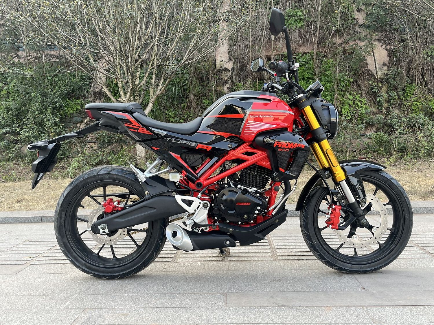 Мотоцикл PROMAX CB300 в Воронеже