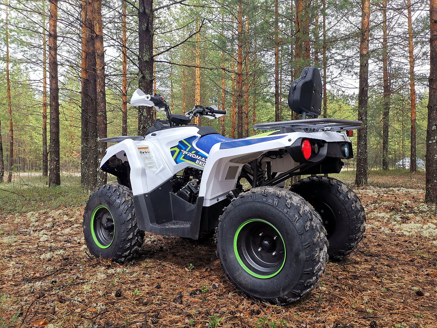Квадроцикл PROMAX RENEGADE 280 (2025) в Воронеже