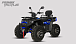 Квадроцикл PROMAX TAURUS 300 MAX-PRO LONG в Воронеже
