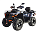 Квадроцикл MOTOLAND (МОТОЛЕНД) 300 MAX X в Воронеже