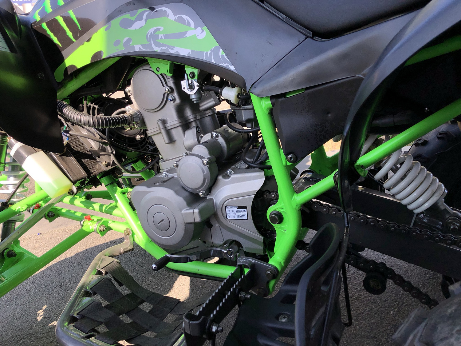 Квадроцикл PROMAX RAPTOR 300 NEW Monster в Воронеже